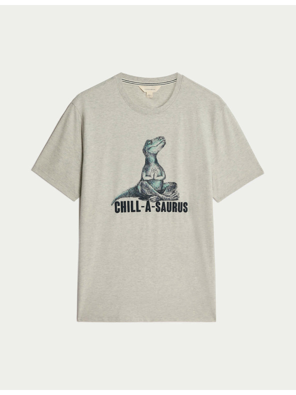 Marks & Spencer Pižamska majica iz čistega bombaža z grafičnim motivom dinozavrov Marks & Spencer bež