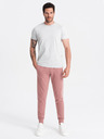Ombre Clothing Moške bombažne trenirke BASIC jogger Ombre Clothing