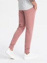 Ombre Clothing Moške bombažne trenirke BASIC jogger Ombre Clothing