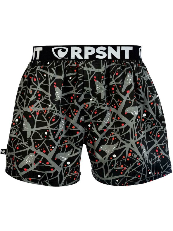 Represent Moške kratke hlače EXCLUSIVE MIKE HITCHCOCK'S DREAM Predstavljamo