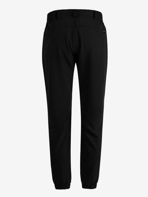 Whistler Moške hlače Whistler Alon M