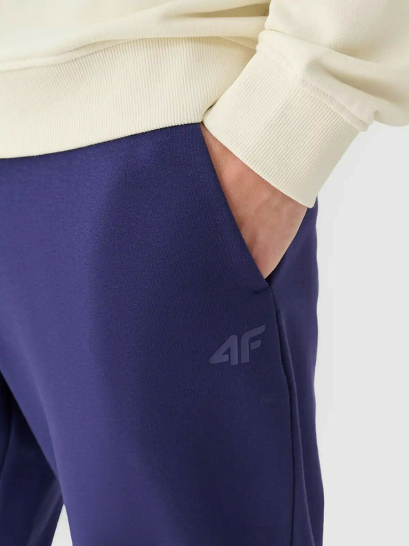 4F Moške športne hlače 4F