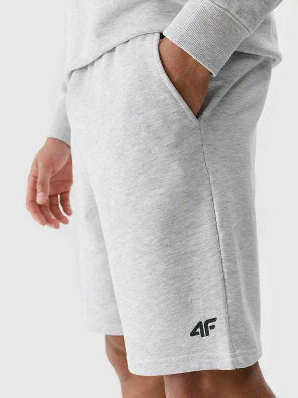 4F Moške kratke hlače 4F