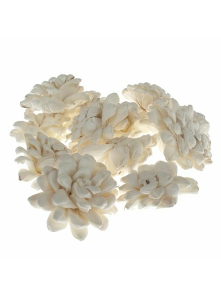 Casa de Engel Sušená chryzantéma - sada 12 ks, 0/40