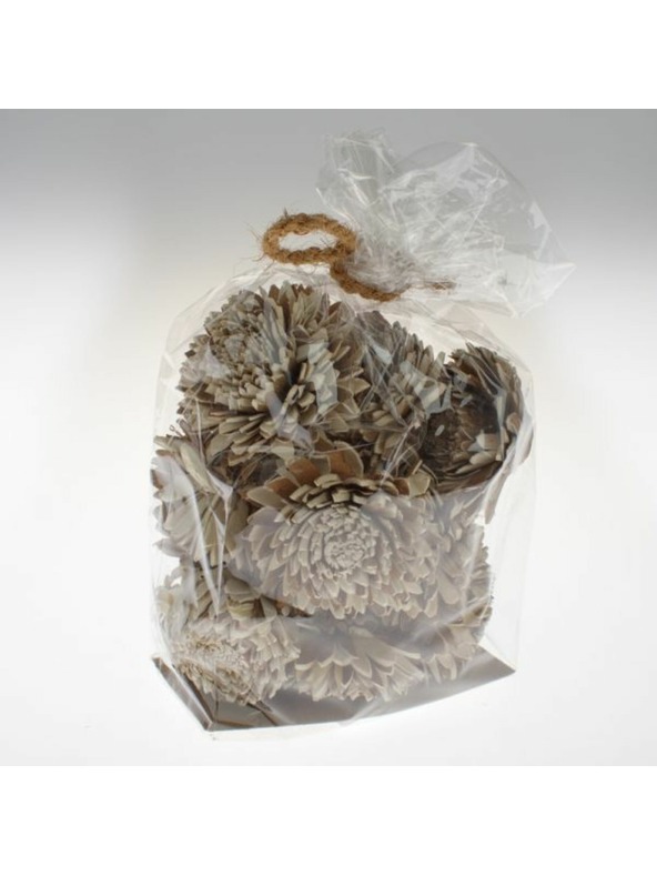 Casa de Engel Sušené kvety - sada 15 ks, 0/15