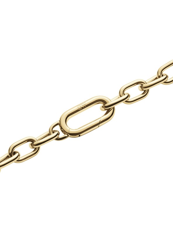 Daniel Wellington Ženski zlat jekleni ogrlica Daniel Wellington