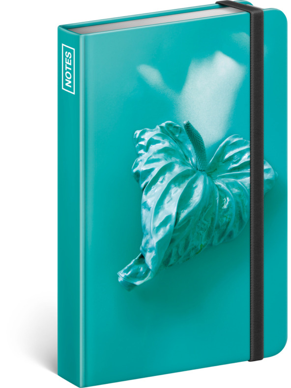 NOTIQUE NOTIQUE Notes Srce - Andrea Katonová, podložen, 11 x 16 cm BAAGL