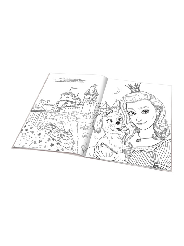 BAAGL  MISELNA PRINCESA - pobarvanka, ki temelji na filmski pravljici