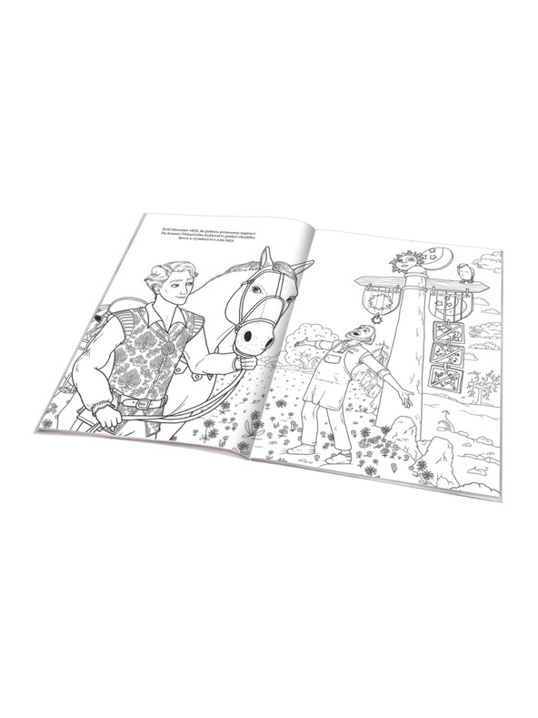 BAAGL  MISELNA PRINCESA - pobarvanka, ki temelji na filmski pravljici