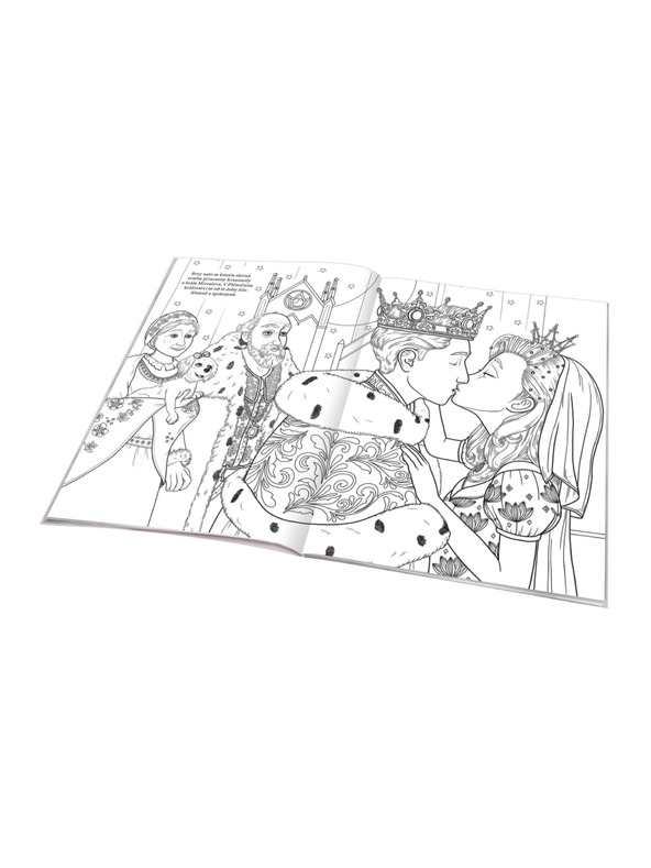 BAAGL  MISELNA PRINCESA - pobarvanka, ki temelji na filmski pravljici