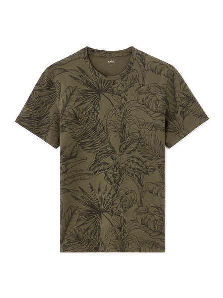 Celio Majica Lesafari