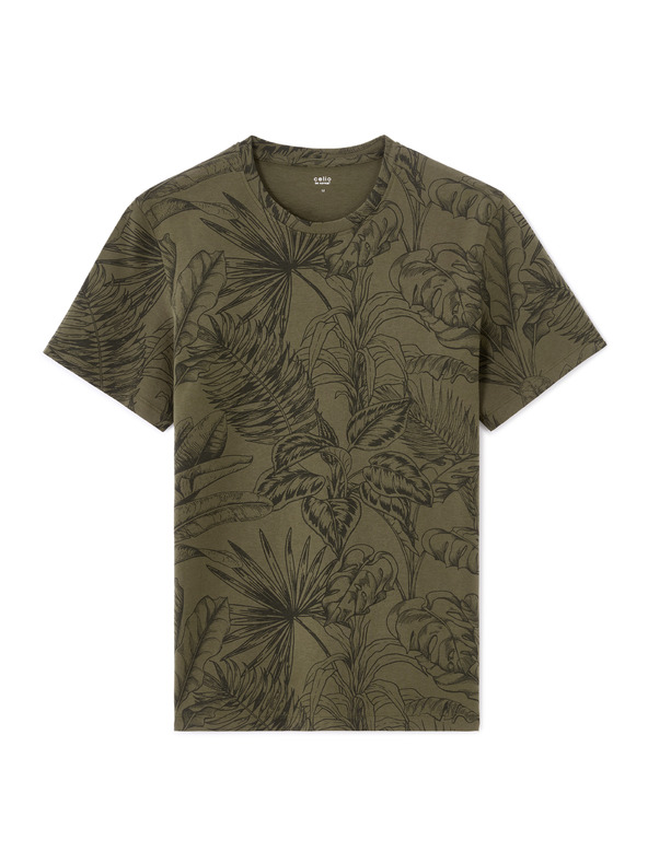 Celio Majica Lesafari