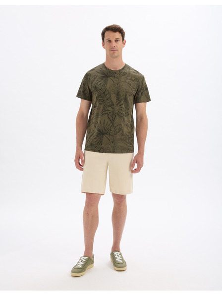 Celio Majica Lesafari