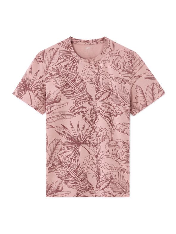 Celio Majica Lesafari