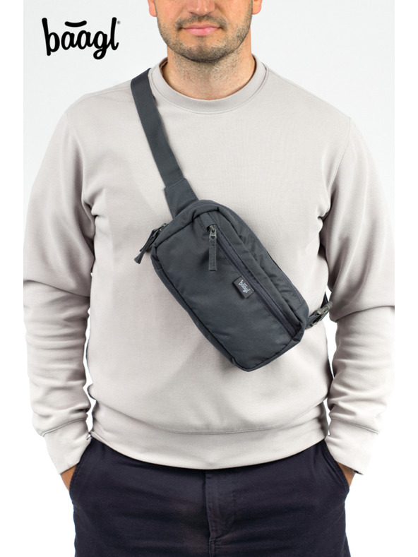 BAAGL  BAAGL Ledvična torbica Go Grey GRS