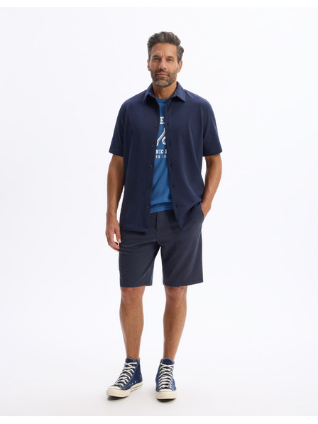 Celio Majica Lecar