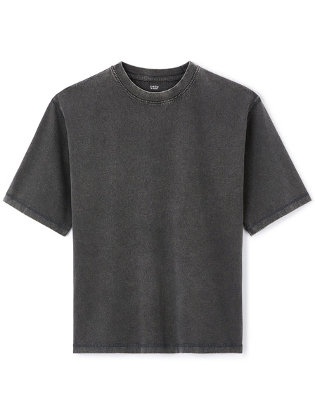 Celio Majica Ledyed