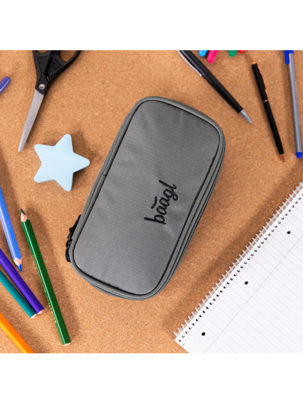 BAAGL  BAAGL Šolska peresnica etui Skate Grove