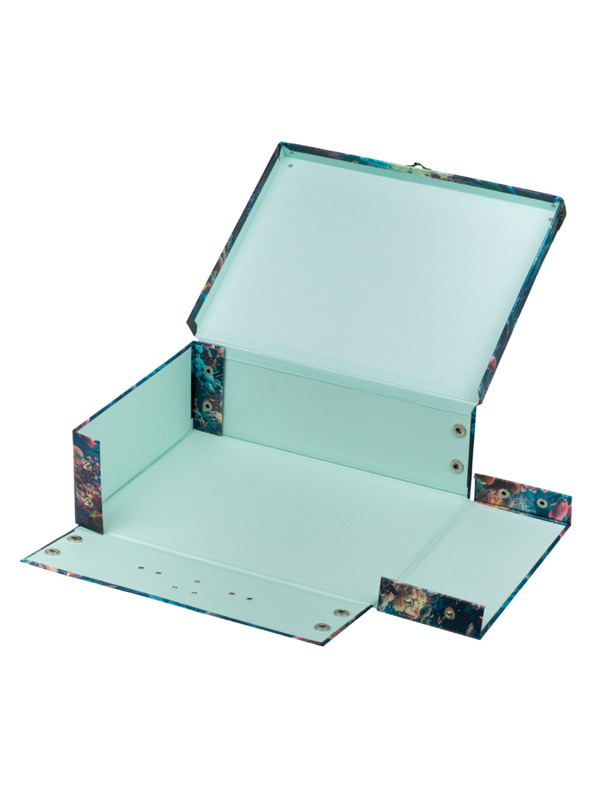 BAAGL  BAAGL Zložljiv šolski kovček Delfin s kovinskim okovjem