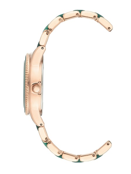 Anne Klein Ženske ure Anne Klein AK/3770GNRG