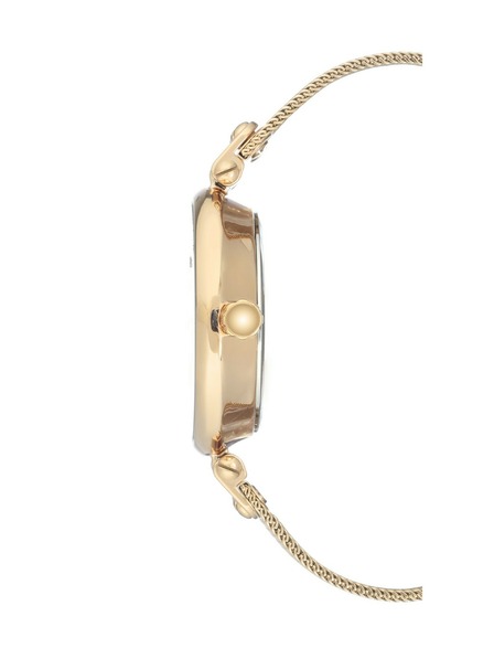 Anne Klein Ženske ure Anne Klein AK/3000GNGB