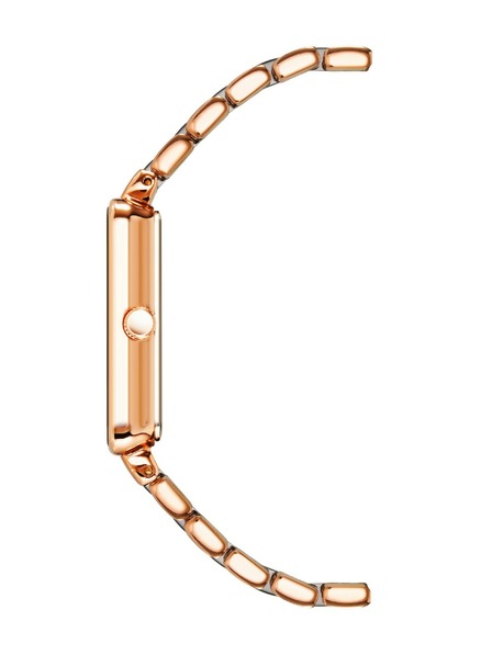 Anne Klein Ženske ure Anne Klein AK/3668NVRG