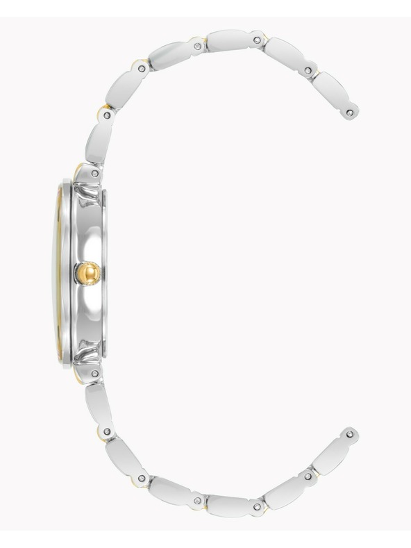 Anne Klein Ženske ure Anne Klein AK/2435SVTT