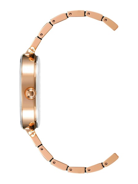 Anne Klein Ženske ure Anne Klein AK/3844NVRG