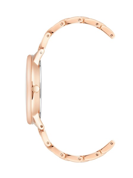 Anne Klein Ženske ure Anne Klein AK/3876GNRG