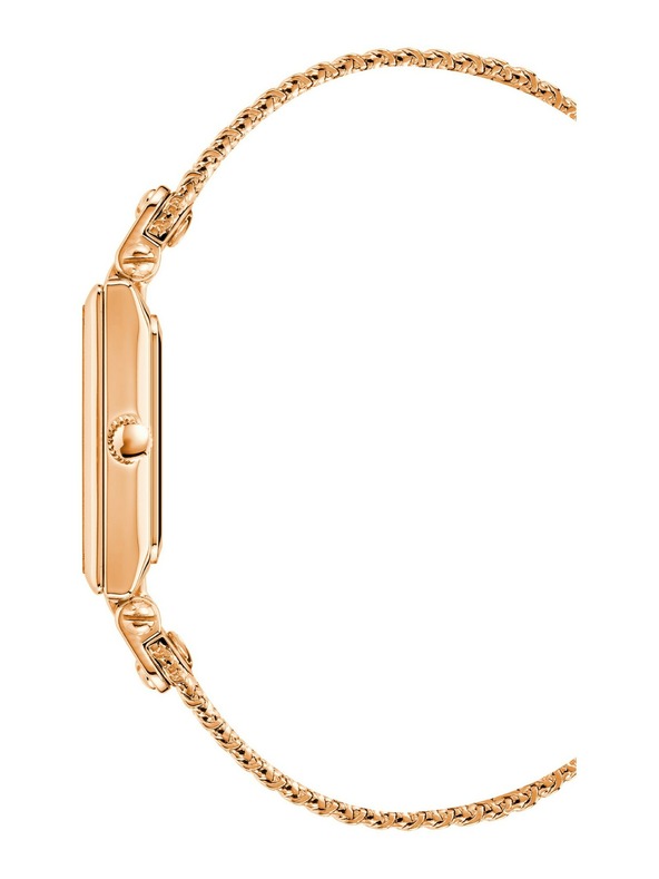 Anne Klein Ženske ure Anne Klein AK/3882RGRG