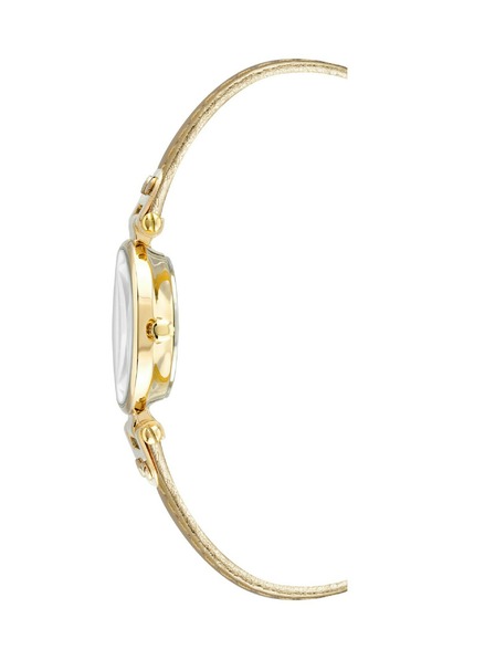 Anne Klein Ženske ure Anne Klein 10/9442CHGD