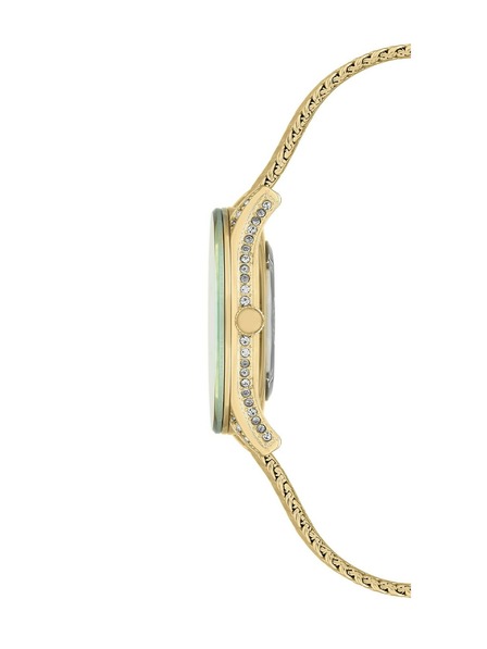 Anne Klein Ženska ura Anne Klein AK/2208TMGB