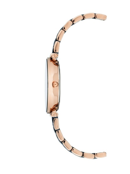 Anne Klein Ženske ročne ure Anne Klein AK/3158NVRG