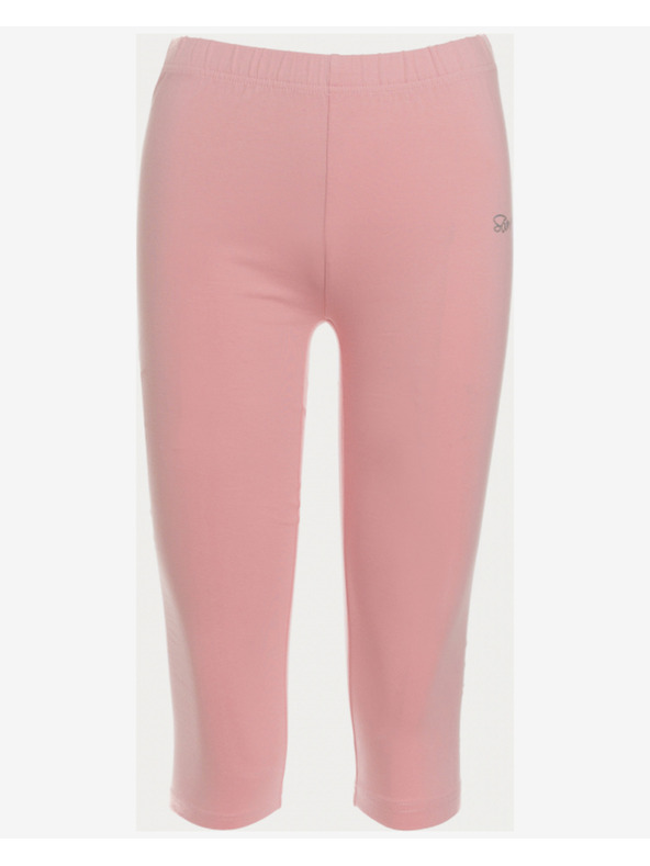 Sam 73 Legice Sam 73