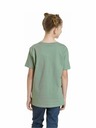 Meatfly Meatfly otroška majica Dino Olive | Zelena