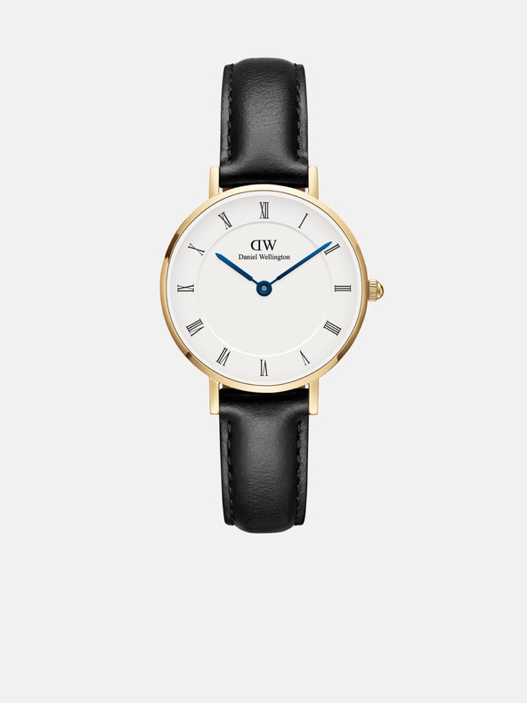 Daniel Wellington Zlate ženske ure Daniel Wellington Petite Sheffield