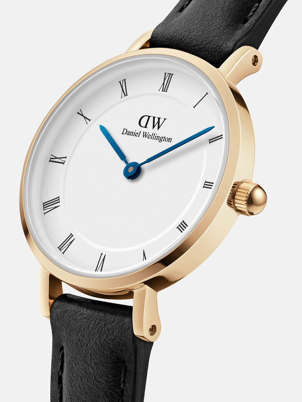 Daniel Wellington Zlate ženske ure Daniel Wellington Petite Sheffield