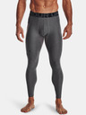Under Armour Moške pajkice Under Armour HG Armour Leggings