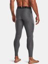 Under Armour Moške pajkice Under Armour HG Armour Leggings