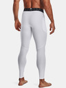 Under Armour Moške pajkice Under Armour HG Armour Leggings