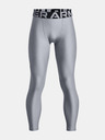 Under Armour Deške pajkice Under Armour UA HG Armour Leggings-GRY