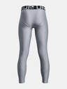 Under Armour Deške pajkice Under Armour UA HG Armour Leggings-GRY