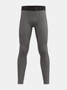 Under Armour Deške pajkice Under Armour UA CG Armour Leggings-GRY