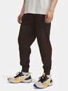 Under Armour Moške športne hlače Under Armour UA TRAIL RUN PANTS-BRN