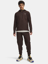 Under Armour Moške športne hlače Under Armour UA TRAIL RUN PANTS-BRN