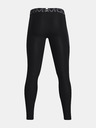Under Armour Moške pajkice Under Armour HG Armour Leggings