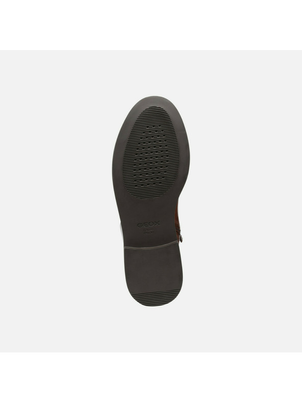 Geox Rjavi ženski škornji Geox Serilda