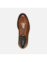 Geox Rjavi moški športni copati Geox Walk Pleasure