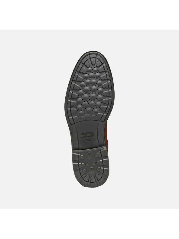 Geox Rjavi moški športni copati Geox Walk Pleasure