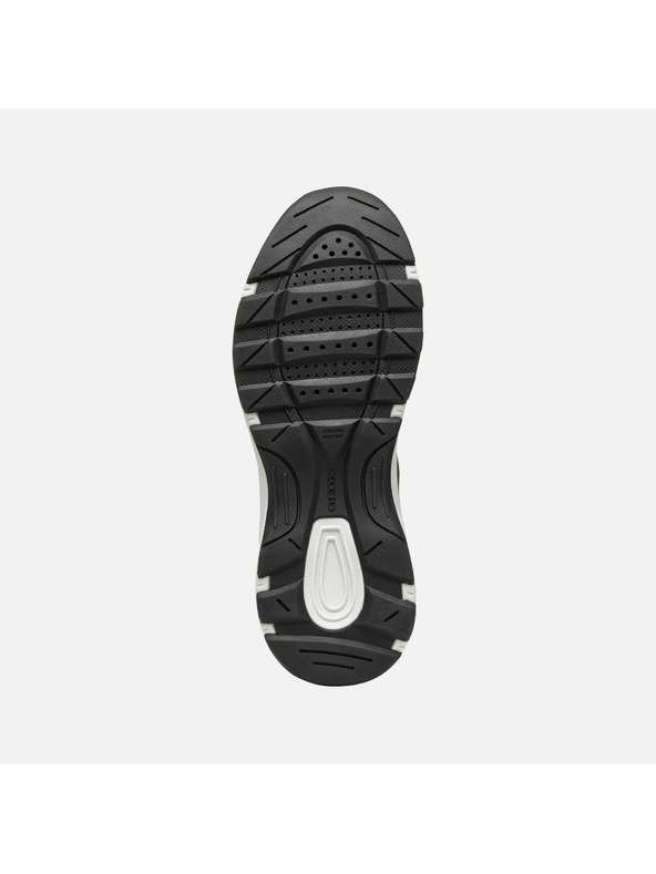 Geox Rjave moške superge Geox Senales B ABX